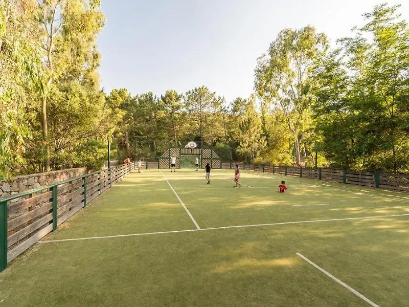 Prázdninový dům Les Restanques Maison De La Pinede 2 Chambres Grimaud Francie